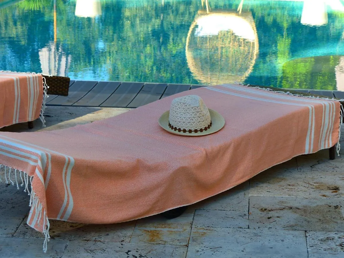 O Tilia D'Azur Bed & Breakfast Roquefort-les-Pins